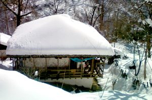 خانه سنتی سیاهمزگی