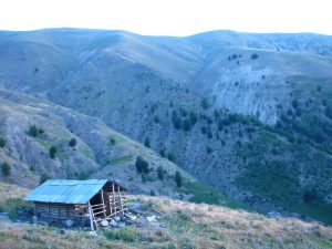 photo_2024-08-21_00-33-42