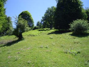 منطقه گردشگری سیامزگی