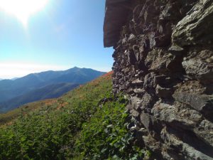 ارتفاعات سیاهمزگی