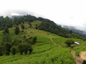 هوای ابری سیامزگی