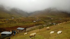 photo_2024-08-21_00-34-35