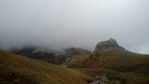 photo_2024-08-21_00-34-39