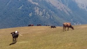 photo_2024-08-21_00-34-43