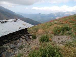 photo_2024-08-21_00-34-49