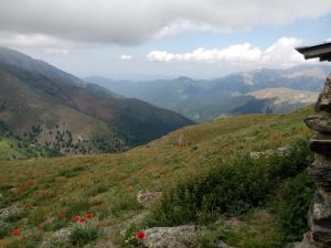 photo_2024-08-21_00-34-57