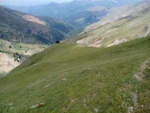 photo_2024-08-21_00-35-10