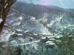 photo_2024-08-21_00-35-24