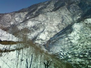 photo_2024-08-21_00-35-35