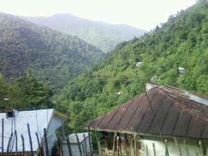 photo_2024-08-21_00-36-02