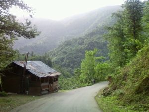 فصل گردشگری در سیامزگی