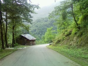 منطقه گردشگری سیاهمزگی