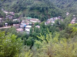 توسه سیامزگی