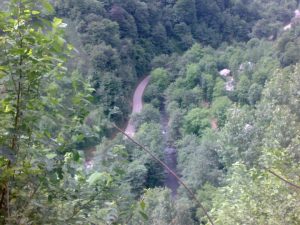 طبیعت بکر سیامزگی